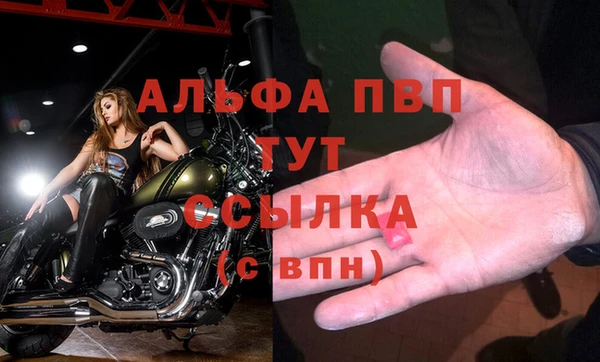 сатива Белоозёрский