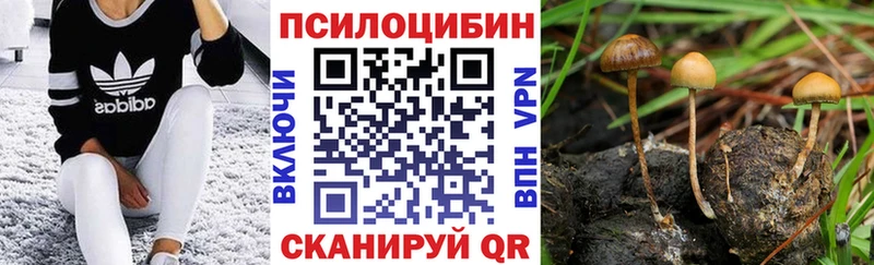 Псилоцибиновые грибы прущие грибы  Реж 